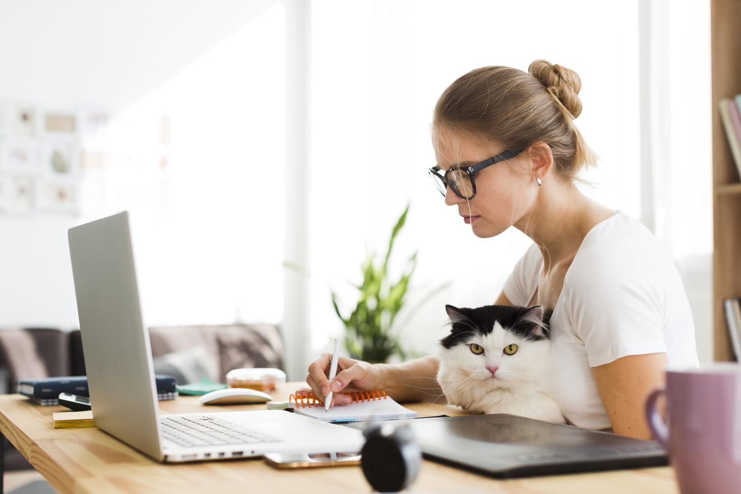 W najbliższym czasie musisz zaprezentować swój projekt innym współpracownikom?